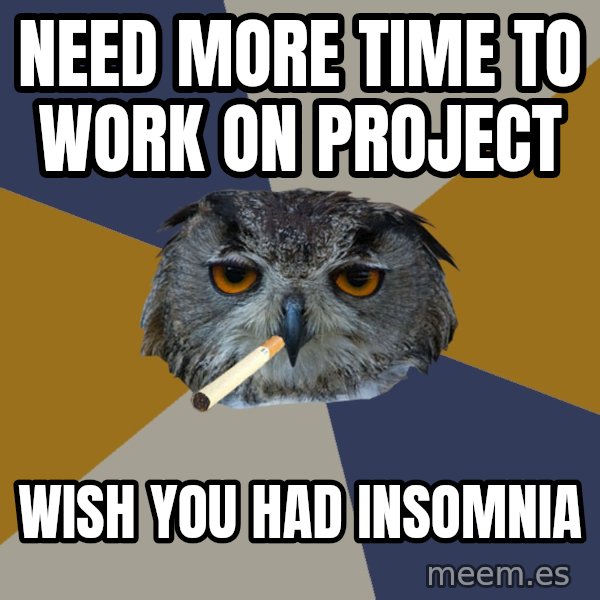 Art Student Owl meme: Need more time to work on project / wish you had insomnia