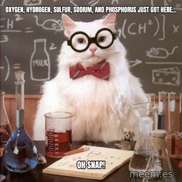 Chemistry Cat meme: Oxygen, hydrogen, sulfur, sodium, and phosphorus just got here... / Oh snap!