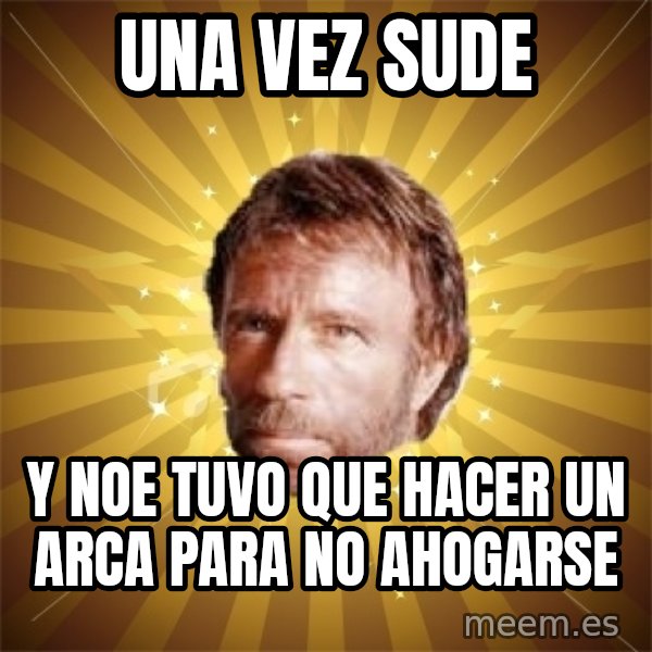 Chuck Norris Advice meme: UNA VEZ SUDE / Y NOE TUVO QUE HACER UN ARCA PARA NO AHOGARSE