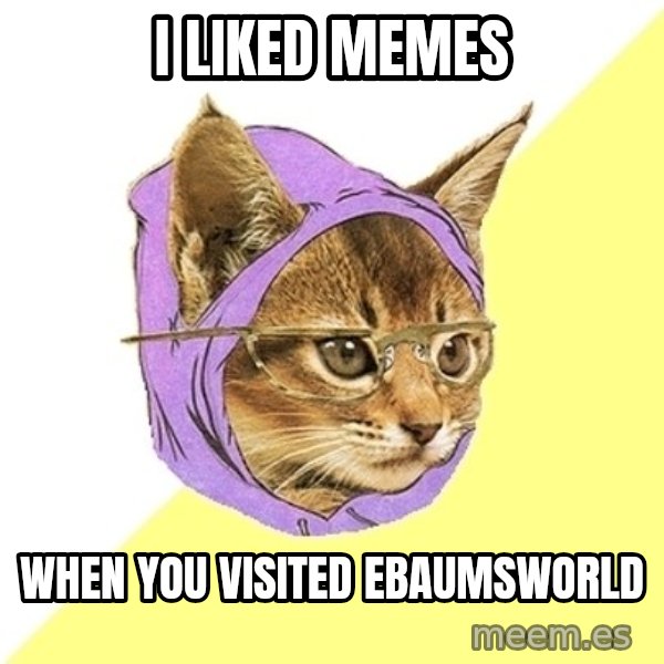Hipster Kitty meme: I liked memes / When you visited EbaumsWorld