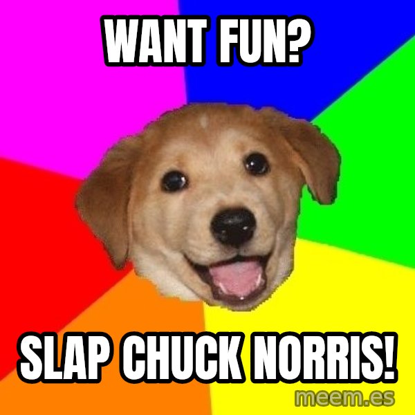 Advice Dog meme: WANT FUN? / SLAP CHUCK NORRIS!