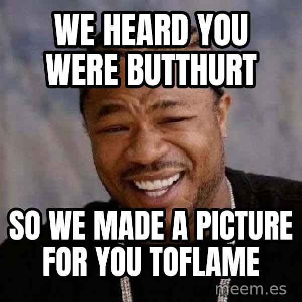 Yo Dawg meme: wE HEARD YOU WERE BUTTHURT / SO WE MADE A PICTURE FOR YOU TOFLAME