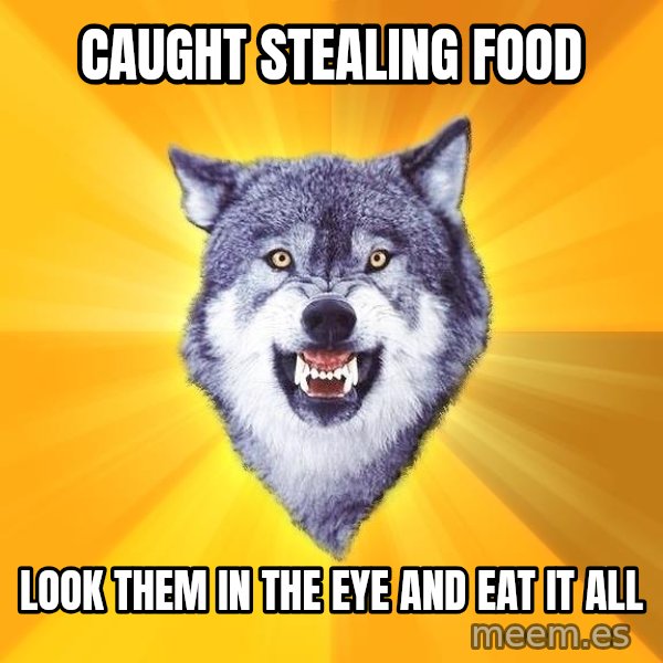 Courage Wolf meme: caught stealing food / look them in the eye and eat it all