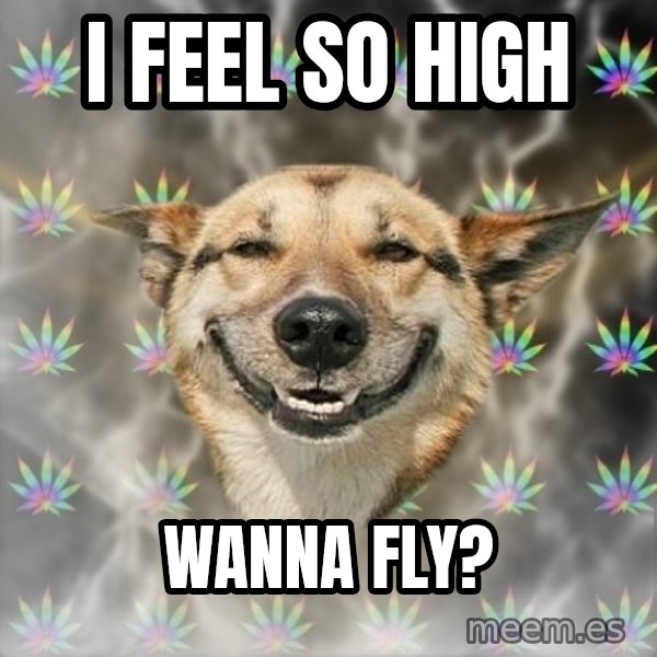 Stoner Dog meme: I feel so high / wanna fly?