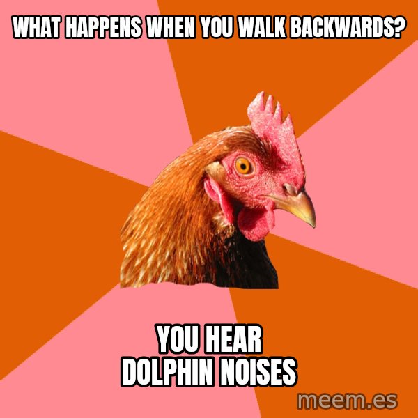 Anti Joke Chicken meme: what happens when you walk backwards? / You hear dolphin noises