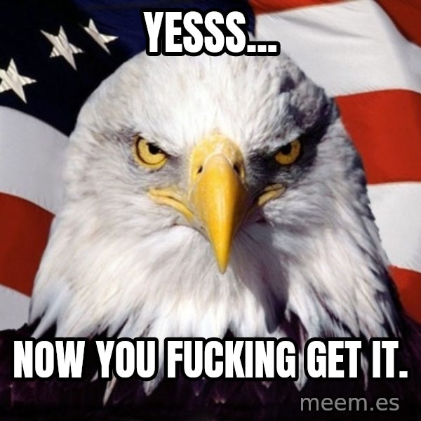 American Pride Eagle meme: Yesss... / NOW you fucking get it.