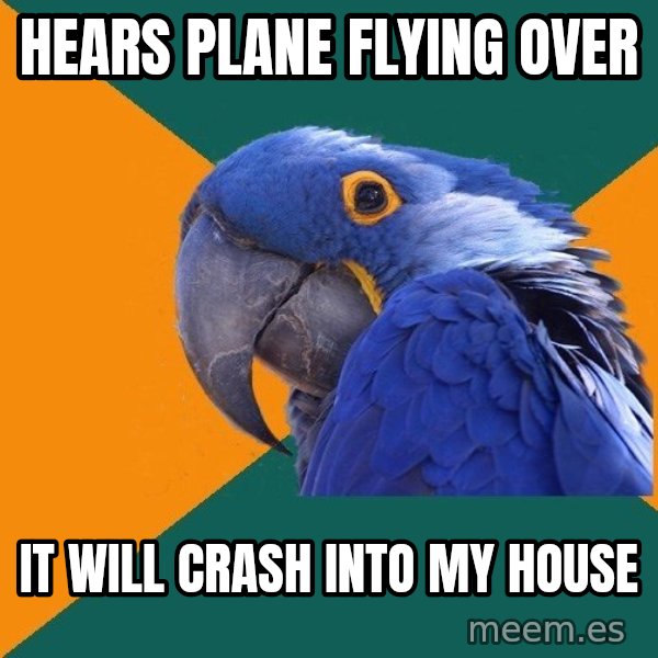 Paranoid Parrot meme: hears PLANE FLYING over / it WILL CRASH into MY HOUSE