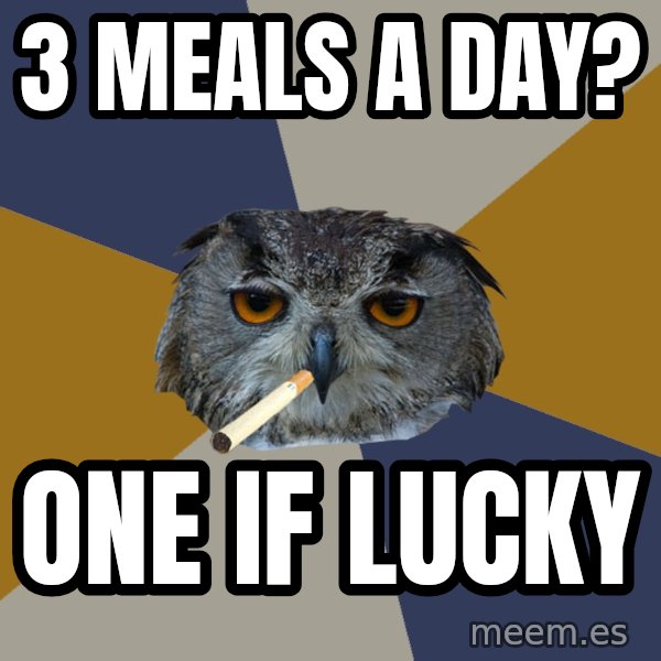 Art Student Owl meme: 3 meals a day? / one if lucky
