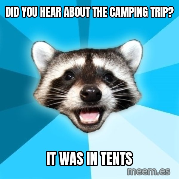 Lame Pun Coon meme: DID YOU HEAR ABOUT THE CAMPING TRIP? / IT WAS IN TENTS