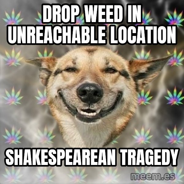 Stoner Dog meme: drop weed in unreachable location / shakespearean tragedy