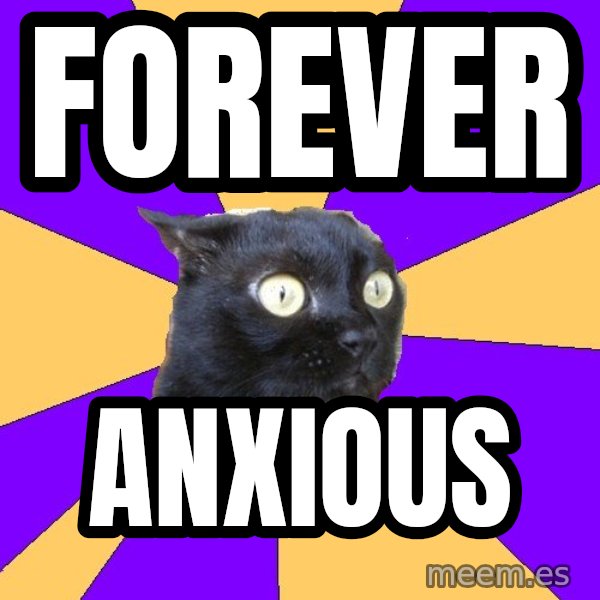 Anxiety Cat meme: forever / anxious
