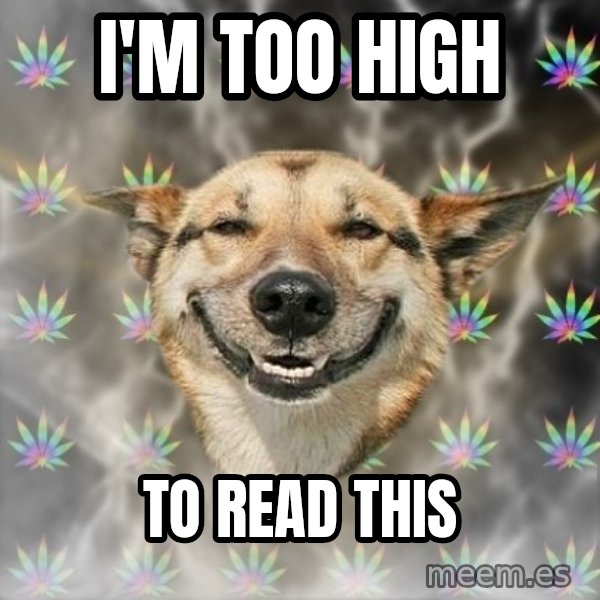 Stoner Dog meme: I'm too high / to read this