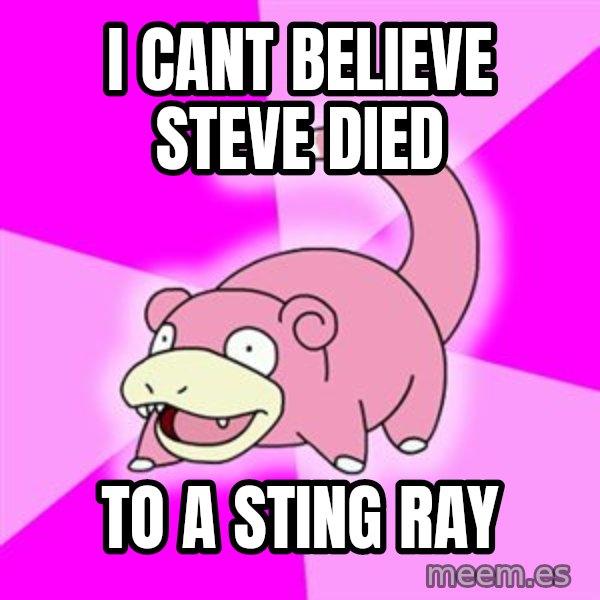 Slowpoke meme: I cant believe Steve died / to a sting ray