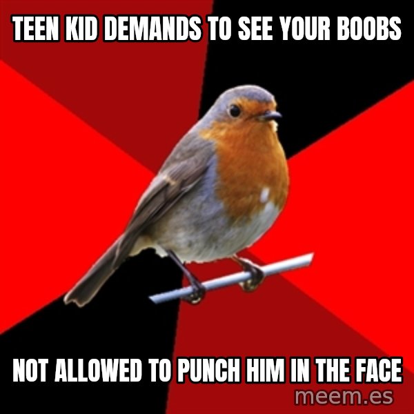 Retail Robin meme: Teen kid demands to see your boobs / Not allowed to punch him in the face