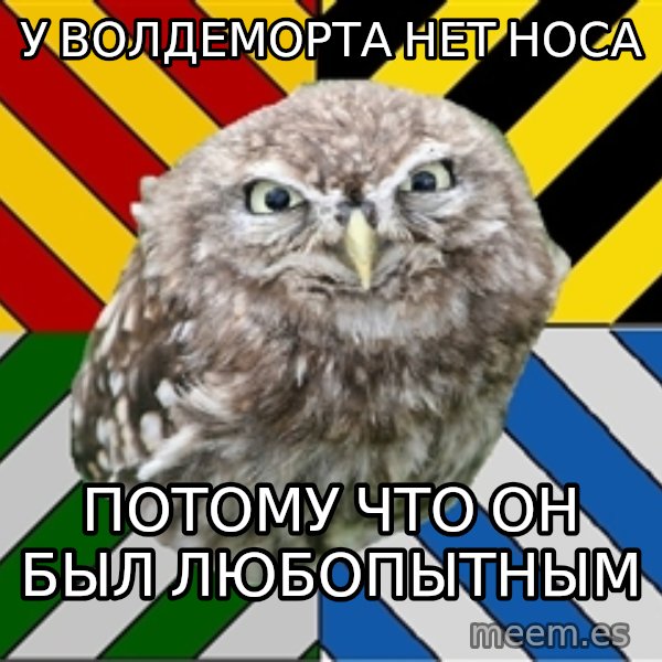 JEALOUS POTTEROMAN meme: у волдеморта нет носа / потому что он был любопытным