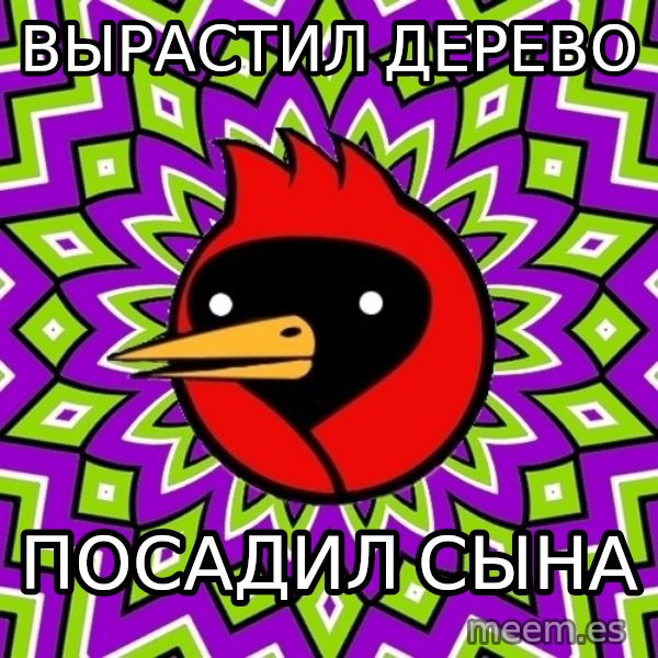 Omsk Crow meme: вырастил дерево / посадил сына