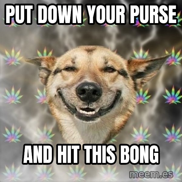 Stoner Dog meme: Put down your purse / and hit this bong
