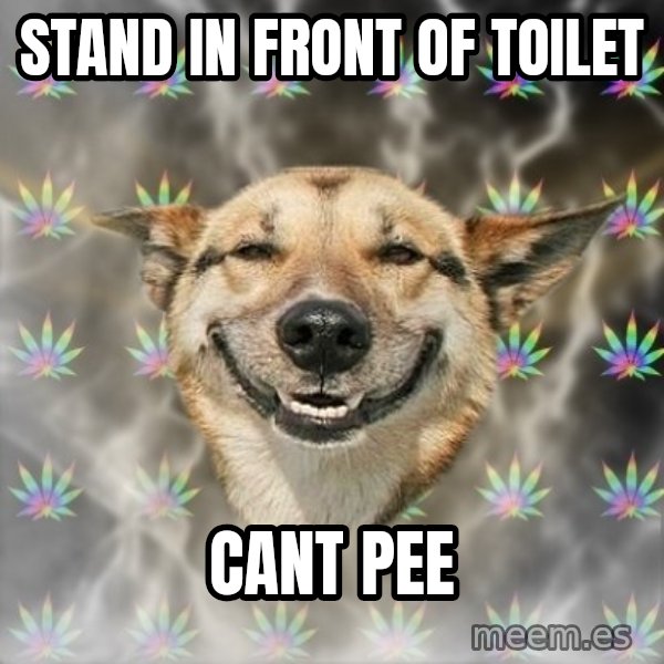 Stoner Dog meme: stand in front of toilet / cant pee