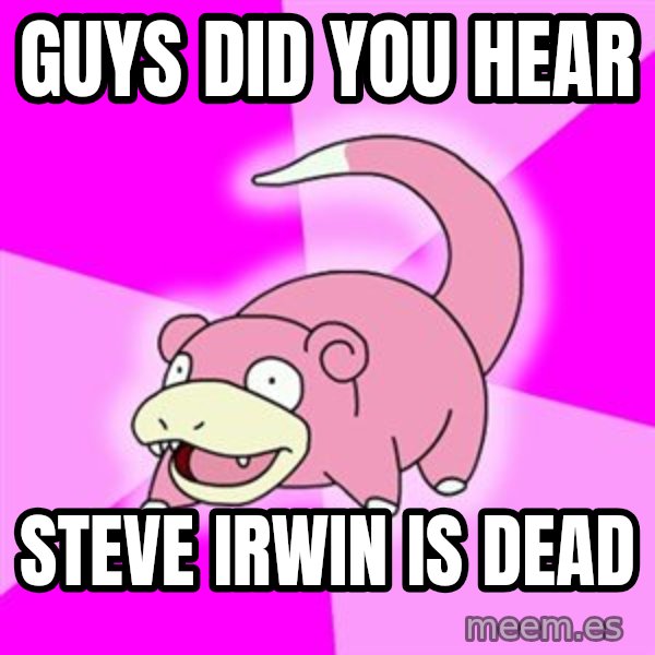 Slowpoke meme: Guys did you hear / Steve IRWIN is dead