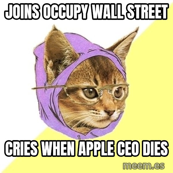Hipster Kitty meme: Joins occupy wall street / cries when apple ceo dies