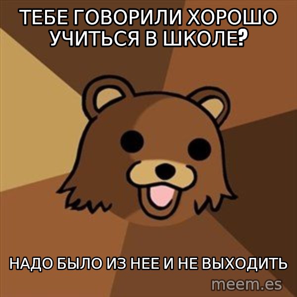 Pedobear meme: тебе говорили хорошо учиться в школе? / надо было из нее и не выходить