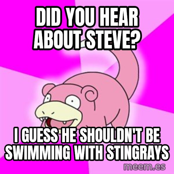 Slowpoke meme: DiD you hear about steve? / I guess he shouldn't be swimming with stingrays