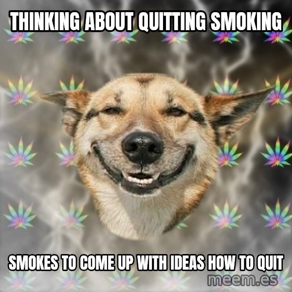 Stoner Dog meme: thinking about quitting smoking / smokes to come up with ideas how to quit