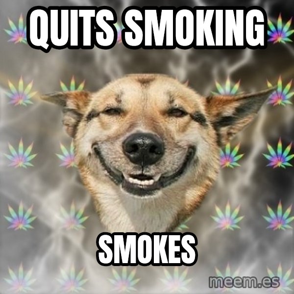 Stoner Dog meme: Quits smoking / smokes