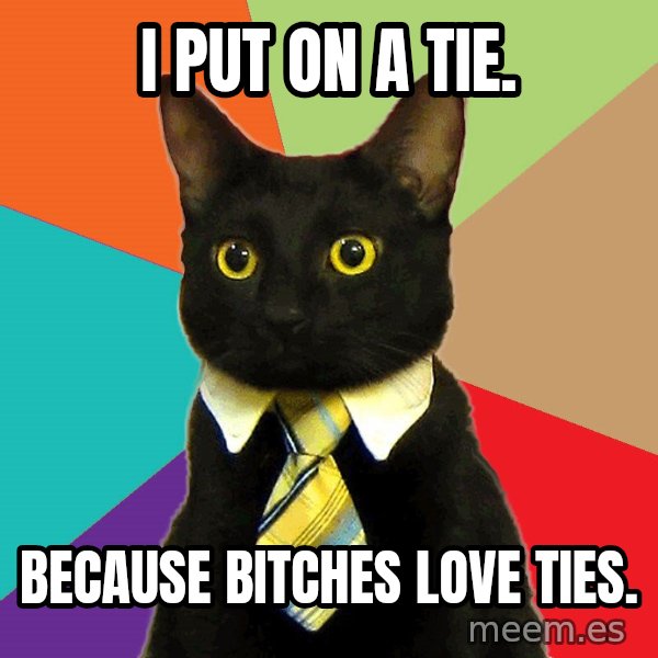 Business Cat meme: i put on a tie. / because bitches love ties.