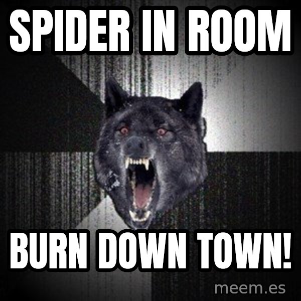 Insanity Wolf meme: spider in room / burn down town!