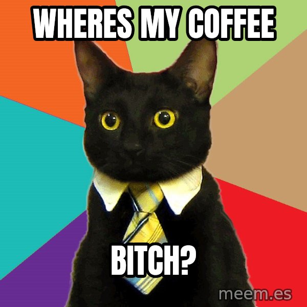 Business Cat meme: Wheres my coffee / bitch?