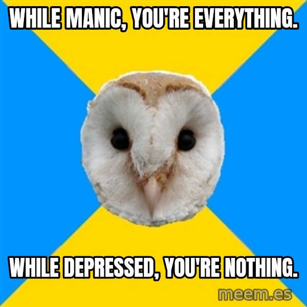 Bipolar Owl meme: While manic, you're everything. / While depressed, you're nothing.