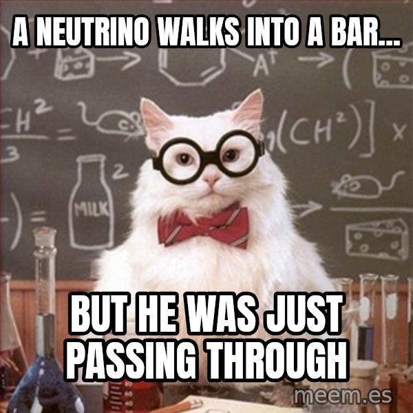 Science Cat meme: A Neutrino walks into a bar... / but he was just passing through