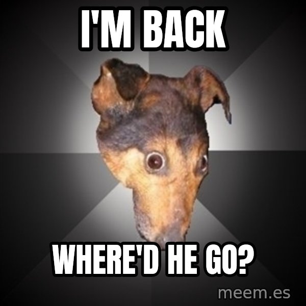 Depression Dog meme: I'm back / where'd he go?