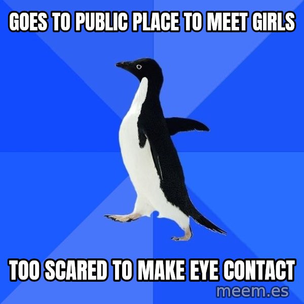 Socially Awkward Penguin meme: Goes to public place to meet girls / too scared tO make eye contact