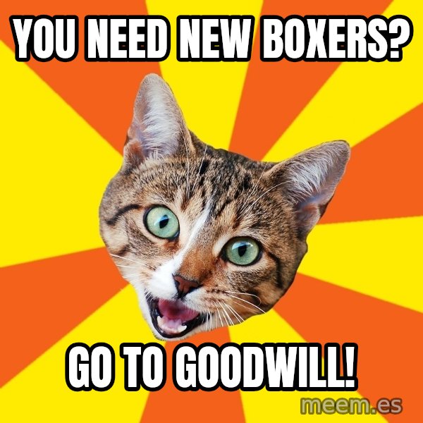 Bad Advice Cat meme: you need new boxers? / go to goodwill!