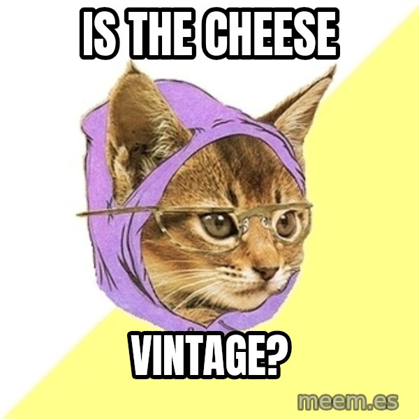 Hipster Kitty meme: Is the cheese / vintage?