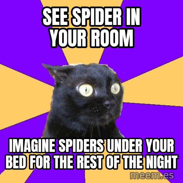 Anxiety Cat meme: See Spider in your room / IMAGINE SPIDERS Under your bed FOR THE REST OF THE NIGHT