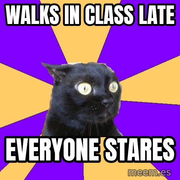 Anxiety Cat meme: walks in class late / everyone stares