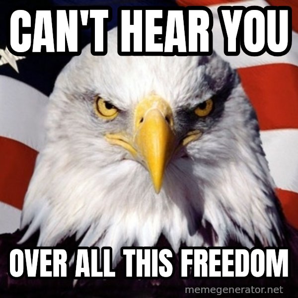 American Pride Eagle meme: can't hear you / over all this freedom