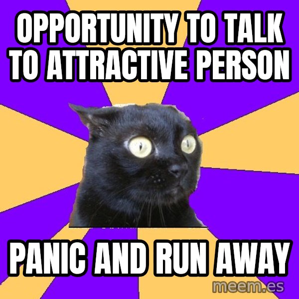 Anxiety Cat meme: Opportunity to Talk to Attractive Person / Panic and Run away