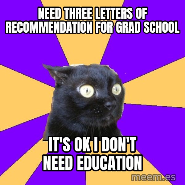 Anxiety Cat meme: Need three letters of recommendation for grad school / It's ok i don't need education