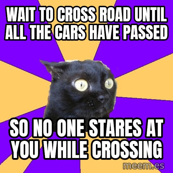 Anxiety Cat meme: Wait to cross Road until all the cars have passed / So no one stares at you while crossing