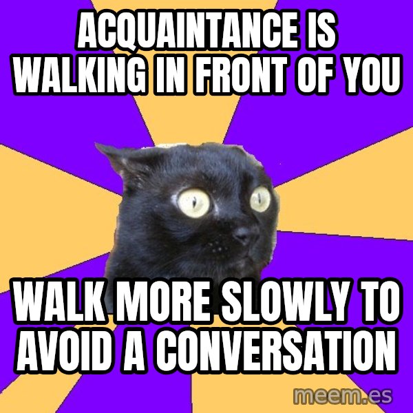 Anxiety Cat meme: acquaintance is walking in front of you / walk more slowly to avoid a conversation