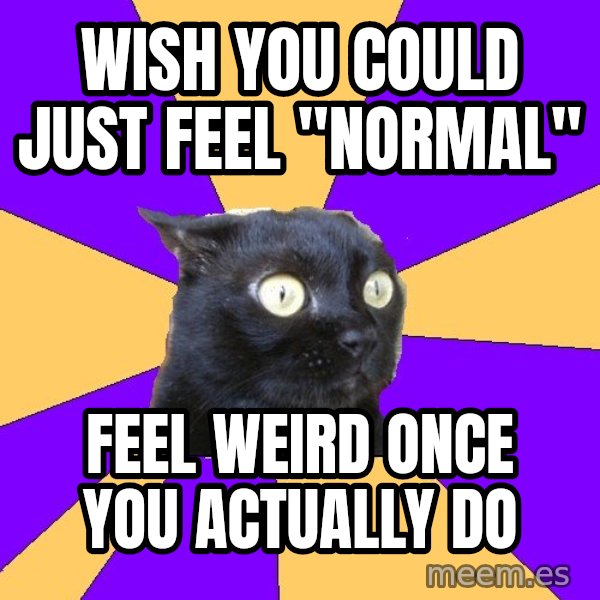 Anxiety Cat meme: wish you could just feel "Normal" / Feel weird once you actually do