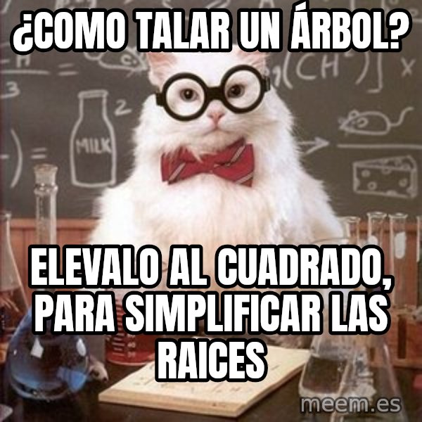 Chemistry Cat meme: ¿como talar un ÁRBOL? / Elevalo al cuadrado, para simplificar las raices