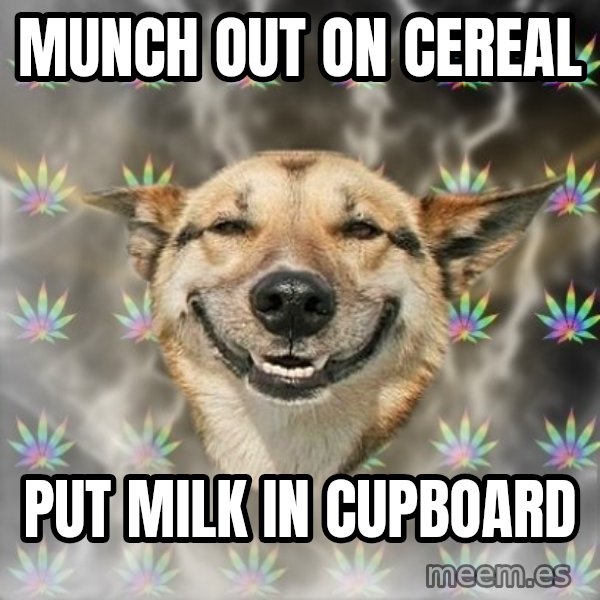 Stoner Dog meme: munch out on cereal / put milk in cupboard