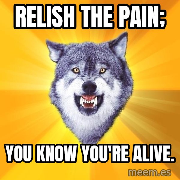 Courage Wolf meme: Relish the pain; / You know you're alive.