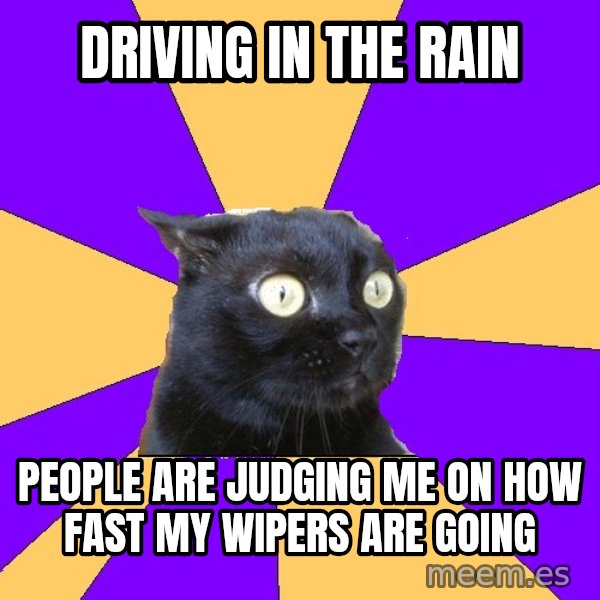 Anxiety Cat meme: driving in the rain / people are judging me on how fast my wipers are going