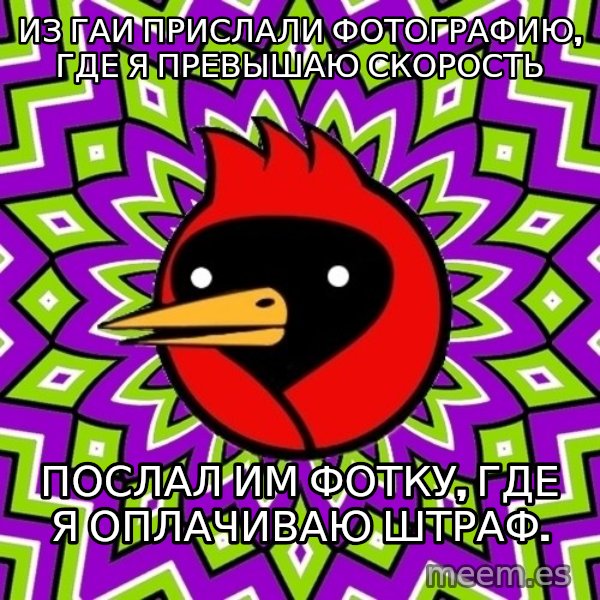 Omsk Crow meme: Из ГАИ прислали фотографию, где я превышаю скорость / Послал им фотку, где я оплачиваю штраф.